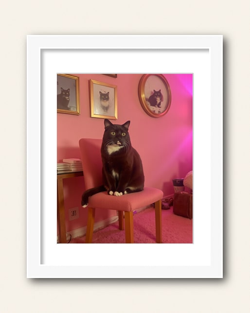 Photo showing a example of a white frame with white matte to purchase from the Paco Floyd Custom Pet Portrait website.