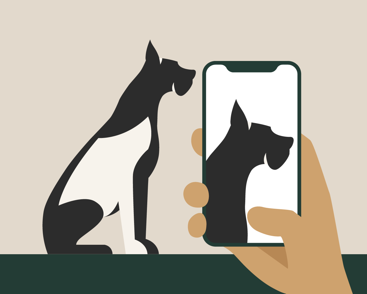 On the left side of the image, a photo grid displays nine different pictures of the same small black dog in various locations. On the right side, a person’s hand holds an iPhone, capturing a photo of the dog from their point of view. These images serve as examples of good photos to use on the website.